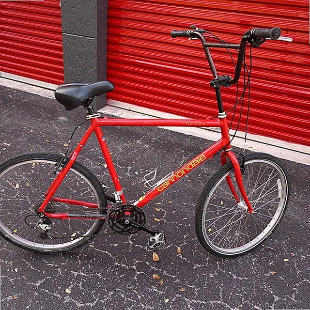 Cannondale Custom 24” M300 SE