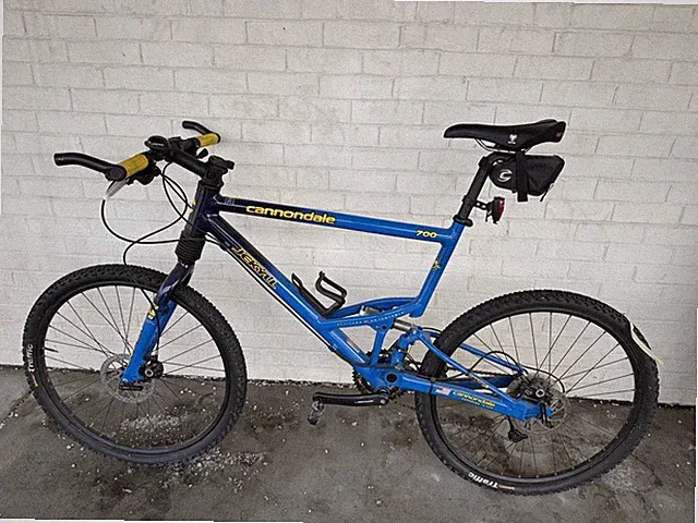 Cannondale Jekyll XL